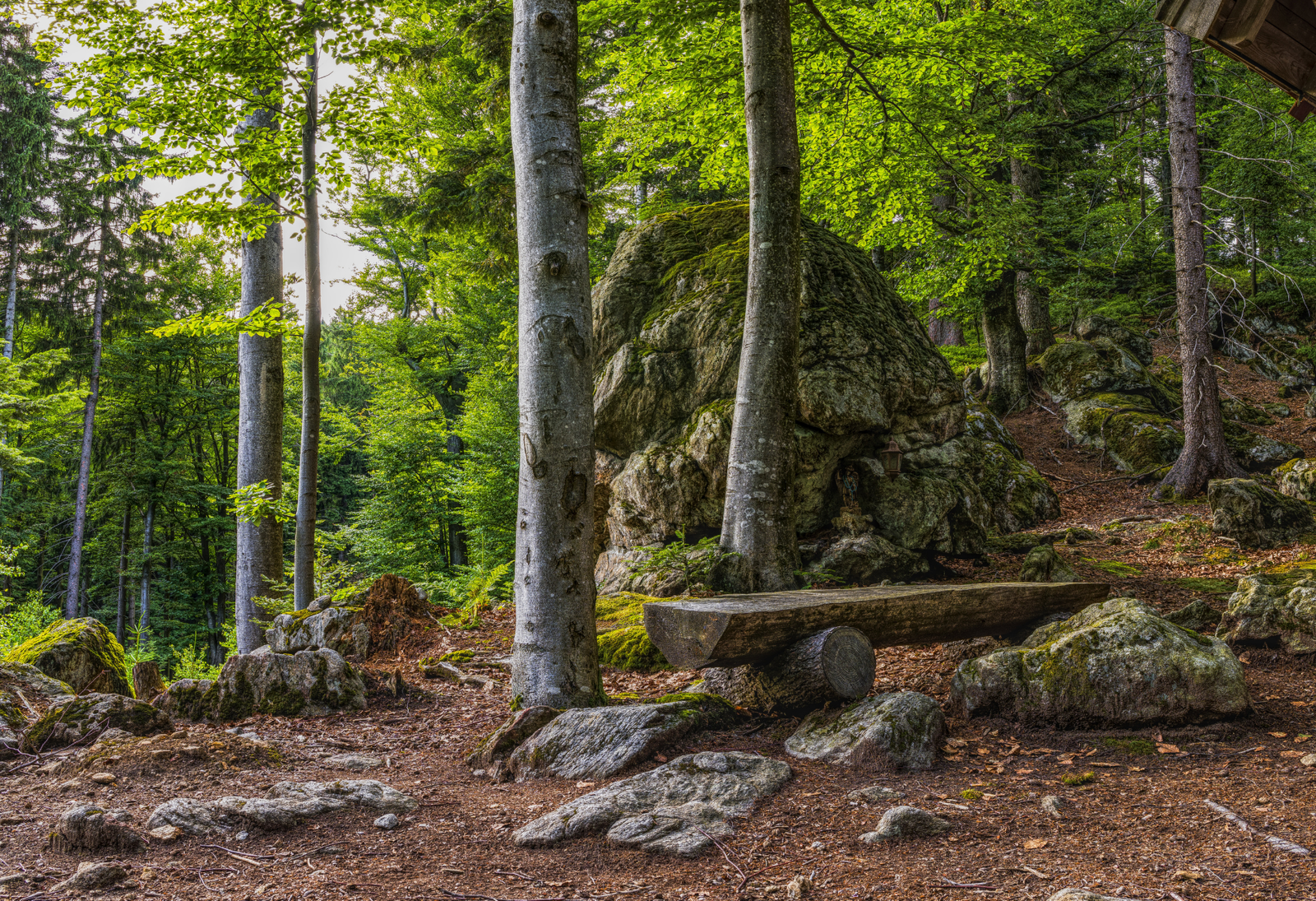 VALHALLA DETOX Desconexion digital en asturias