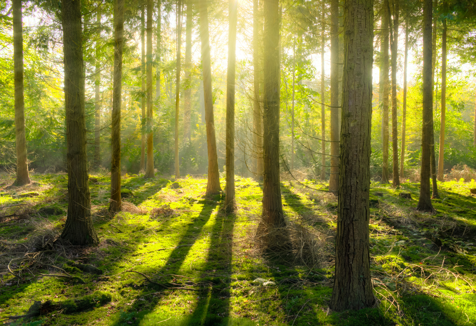 valhalla detox desconexion digital en asturias